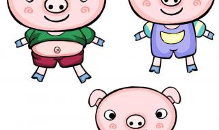 三只小猪盖房子故事动画片 三只小猪盖房子动画片